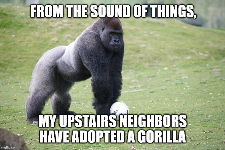 That woman walks like she has a grudge against the floor. | FROM THE SOUND OF THINGS, MY UPSTAIRS NEIGHBORS HAVE ADOPTED A GORILLA | image tagged in thunder,thunderfoot | made w/ Imgflip meme maker
