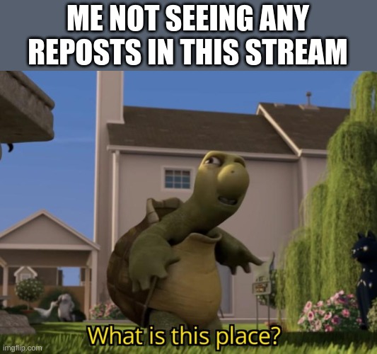 I mean maybe cause I haven't explored enough but still | ME NOT SEEING ANY REPOSTS IN THIS STREAM | image tagged in what is this place | made w/ Imgflip meme maker