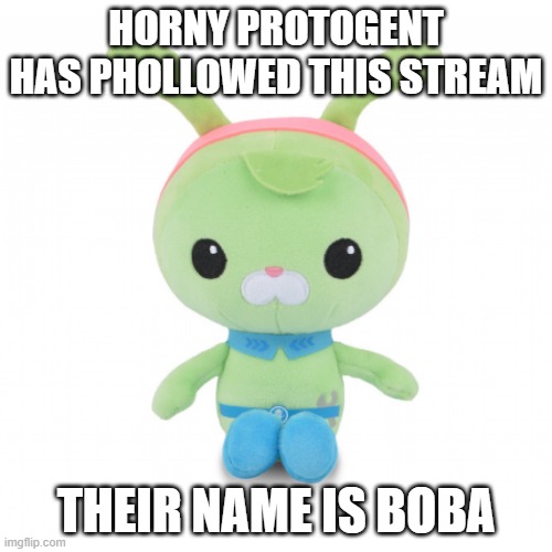 da gorl | HORNY PROTOGENT HAS PHOLLOWED THIS STREAM; THEIR NAME IS BOBA | image tagged in da gorl | made w/ Imgflip meme maker