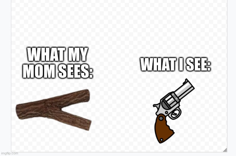 stick to gun | WHAT MY MOM SEES:; WHAT I SEE: | image tagged in stick to gun | made w/ Imgflip meme maker