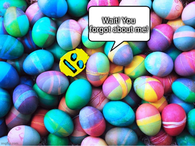 easter eggs | Wait! You forgot about me! | image tagged in easter eggs | made w/ Imgflip meme maker