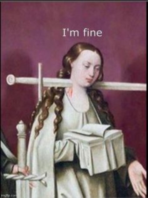 Im Fine | image tagged in im fine | made w/ Imgflip meme maker