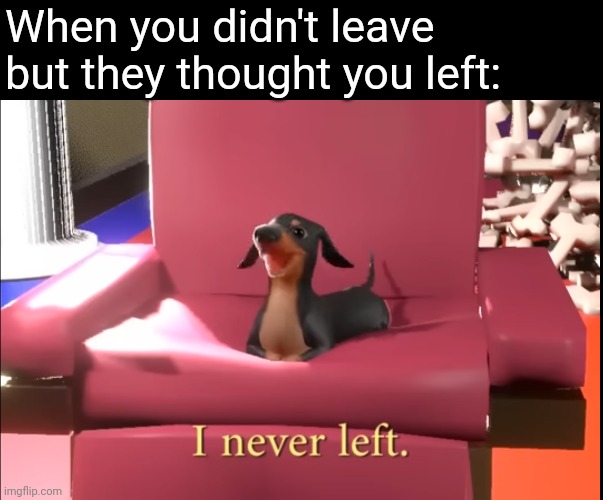 New dog of wisdom just dropped | When you didn't leave but they thought you left: | image tagged in i never left | made w/ Imgflip meme maker
