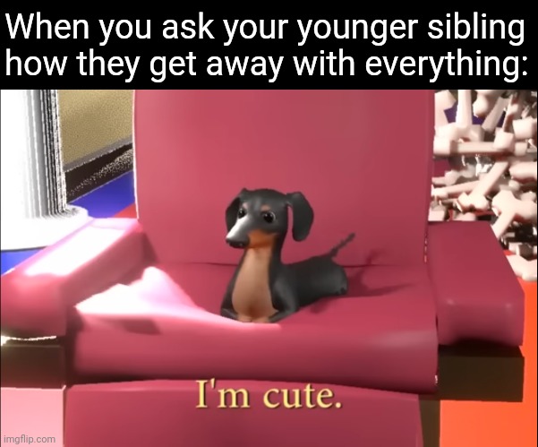 New dog of wisdom just dropped | When you ask your younger sibling how they get away with everything: | image tagged in i'm cute | made w/ Imgflip meme maker