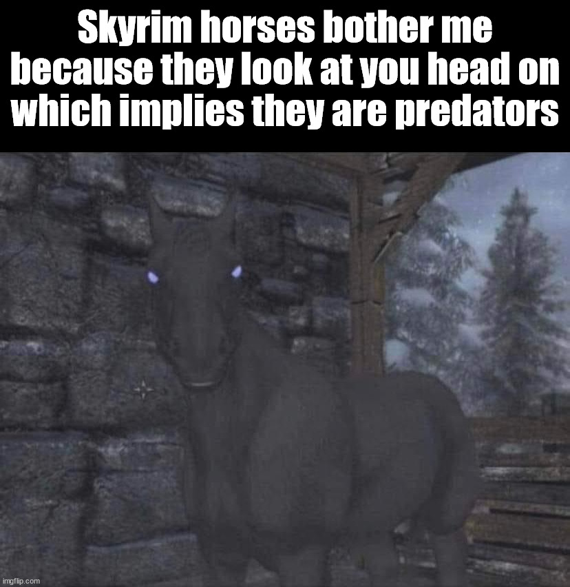 Skyrim horses bother me because they look at you head on which implies they are predators | image tagged in skyrim,gaming | made w/ Imgflip meme maker