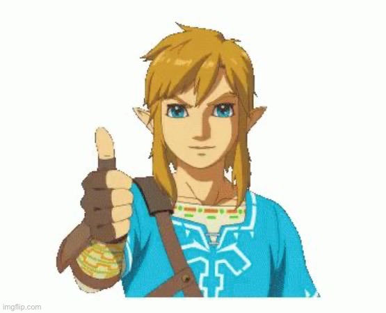 Link Thumbs Up | image tagged in link thumbs up | made w/ Imgflip meme maker