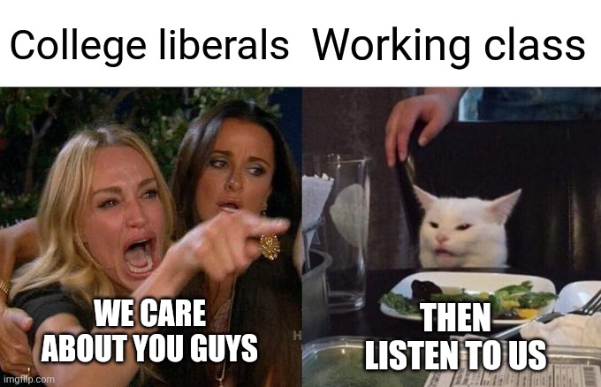 Srsly wtf | College liberals; Working class; WE CARE ABOUT YOU GUYS; THEN LISTEN TO US | image tagged in memes,woman yelling at cat,college liberal,college life,politics,lolcats | made w/ Imgflip meme maker