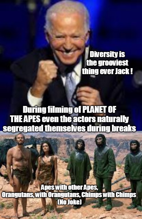 Diversity is the Cat's Pajamas | Diversity is the grooviest thing ever Jack ! During filming of PLANET OF THE APES even the actors naturally segregated themselves during breaks; Apes with other Apes, Orangutans, with Orangutans, Chimps with Chimps 
(No Joke) | image tagged in diversity bullshit | made w/ Imgflip meme maker