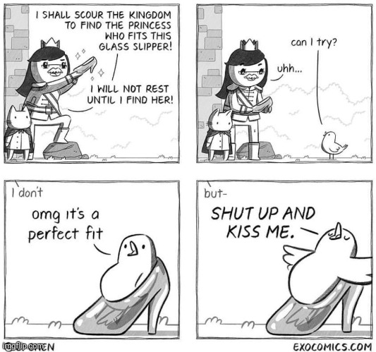 Yes | image tagged in bird,birb | made w/ Imgflip meme maker