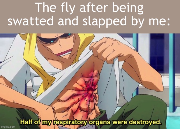 They can’t die fsr | The fly after being swatted and slapped by me: | image tagged in half of my respiratory organs were destroyed,die u nerd | made w/ Imgflip meme maker