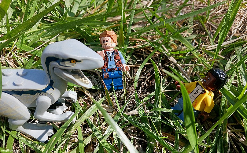 Rocky Reunion | image tagged in lego,jurassic world dominion | made w/ Imgflip meme maker