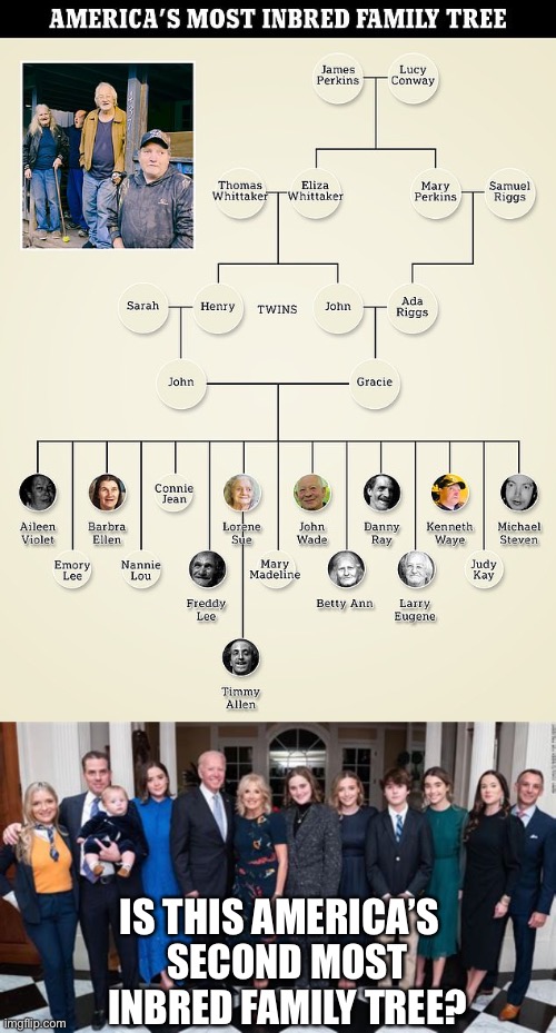 SECOND MOST INBRED FAMILY TREE? IS THIS AMERICA’S | image tagged in inbred,biden,showers,widow of brother | made w/ Imgflip meme maker