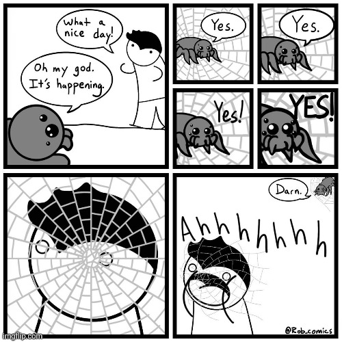 Spider web face | image tagged in spiders,spider,web,spider web,comics,comics/cartoons | made w/ Imgflip meme maker