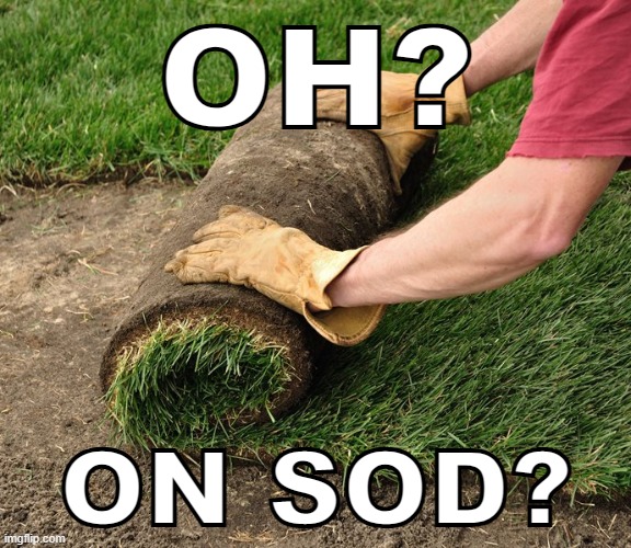 on sod? | image tagged in on sod | made w/ Imgflip meme maker