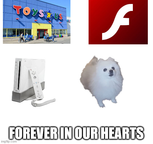 remember | FOREVER IN OUR HEARTS | image tagged in toys r us,adobe flash,wii,gabe the dog | made w/ Imgflip meme maker