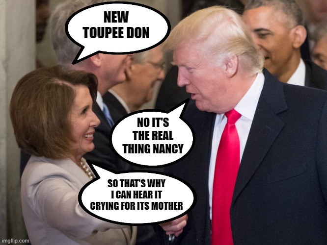 Maga Hair Problems | NEW TOUPEE DON; NO IT'S THE REAL THING NANCY; SO THAT'S WHY I CAN HEAR IT CRYING FOR ITS MOTHER | image tagged in trump pelosi,donald trumph hair,donald trump hair,trump hair,bad hair day,change my mind | made w/ Imgflip meme maker