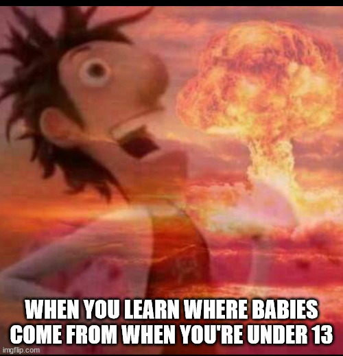 lol | WHEN YOU LEARN WHERE BABIES COME FROM WHEN YOU'RE UNDER 13 | image tagged in mushroomcloudy | made w/ Imgflip meme maker