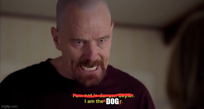 i am not in danger skyler i am the danger | DOG | image tagged in i am not in danger skyler i am the danger | made w/ Imgflip meme maker