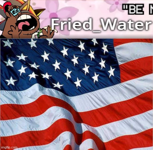 fried water | image tagged in usa flag | made w/ Imgflip meme maker