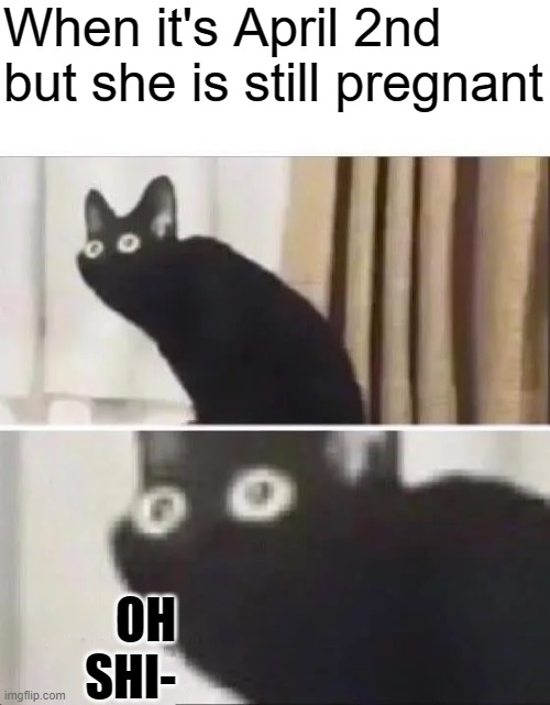Where can I buy milk? | When it's April 2nd but she is still pregnant; OH SHI- | image tagged in oh no black cat,memes,funny memes | made w/ Imgflip meme maker