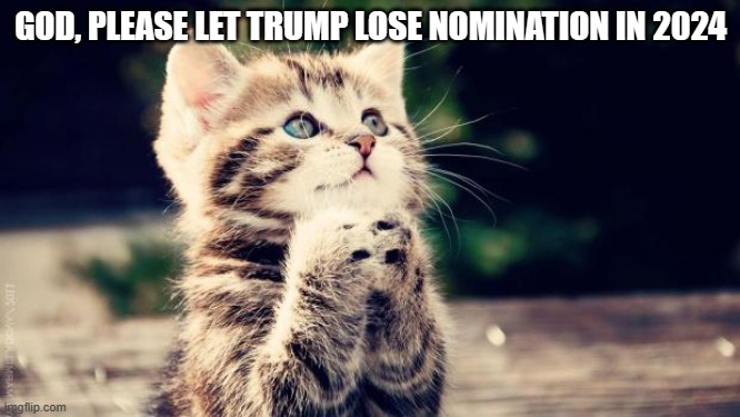 Praying cat | GOD, PLEASE LET TRUMP LOSE NOMINATION IN 2024 | image tagged in praying cat | made w/ Imgflip meme maker