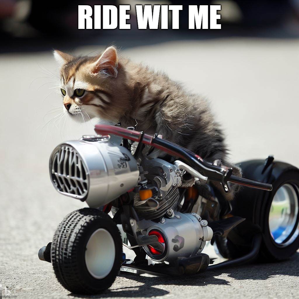 Ride Wit Me | RIDE WIT ME | image tagged in the cool cat,cat,motorbike | made w/ Imgflip meme maker