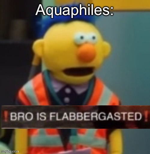 Flabbergasted Yellow Guy | Aquaphiles: | image tagged in flabbergasted yellow guy | made w/ Imgflip meme maker