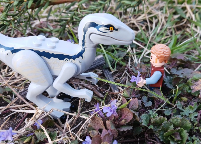 Flowers for Blue | image tagged in lego,jurassic world dominion | made w/ Imgflip meme maker