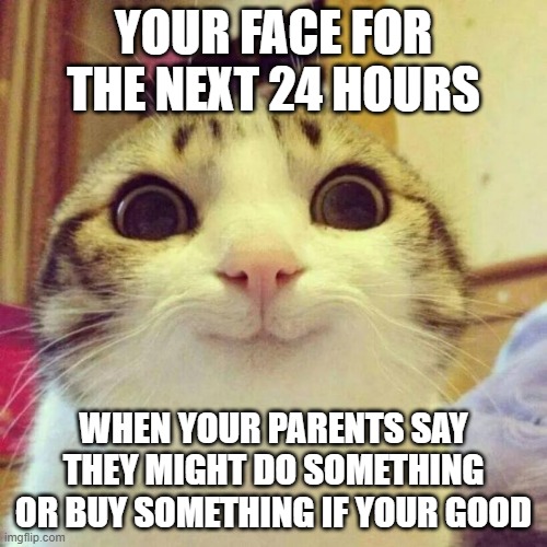Smiling Cat Meme | YOUR FACE FOR THE NEXT 24 HOURS; WHEN YOUR PARENTS SAY THEY MIGHT DO SOMETHING OR BUY SOMETHING IF YOUR GOOD | image tagged in memes,smiling cat,relatable,cat,childhood,parents | made w/ Imgflip meme maker