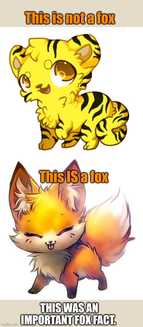 Important fox facts | This is not a fox; This IS a fox; THIS WAS AN IMPORTANT FOX FACT. | image tagged in important,fox,facts | made w/ Imgflip meme maker