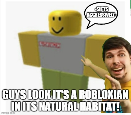 -SH*TS AGGRESSIVELY-; GUYS LOOK IT'S A ROBLOXIAN IN ITS NATURAL HABITAT! | image tagged in roblox,mrbeast | made w/ Imgflip meme maker