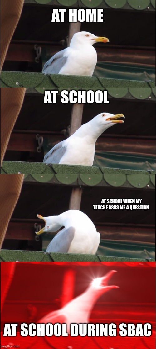 My brain | AT HOME; AT SCHOOL; AT SCHOOL WHEN MY TEACHE ASKS ME A QUESTION; AT SCHOOL DURING SBAC | image tagged in memes,inhaling seagull | made w/ Imgflip meme maker