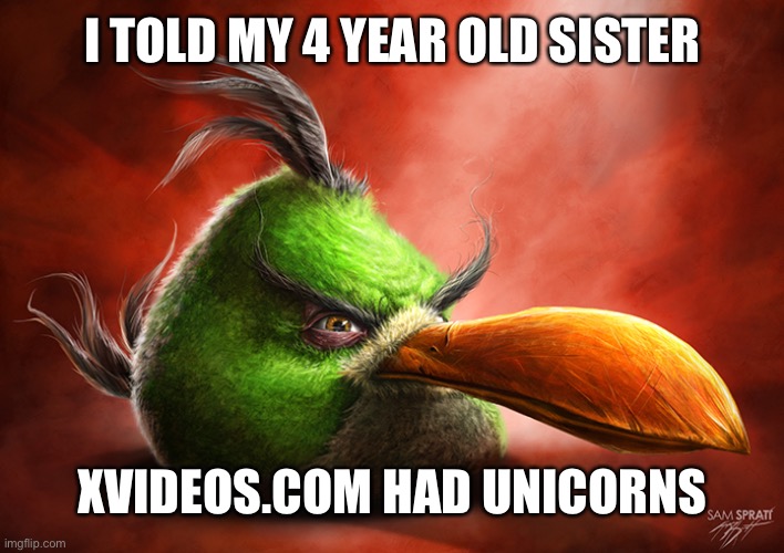 Angry Bird 4 | I TOLD MY 4 YEAR OLD SISTER; XVIDEOS.COM HAD UNICORNS | image tagged in angry bird 4 | made w/ Imgflip meme maker