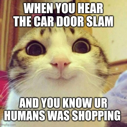 Smiling Cat Meme | WHEN YOU HEAR THE CAR DOOR SLAM; AND YOU KNOW UR HUMANS WAS SHOPPING | image tagged in memes,smiling cat | made w/ Imgflip meme maker