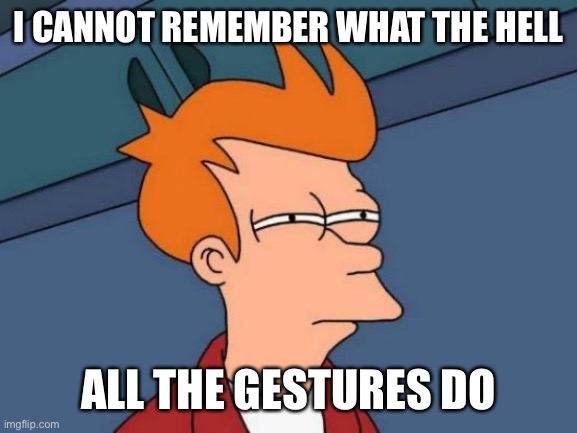 Futurama Fry Meme | I CANNOT REMEMBER WHAT THE HELL; ALL THE GESTURES DO | image tagged in memes,futurama fry,vrchat,gaming,relatable,funny | made w/ Imgflip meme maker