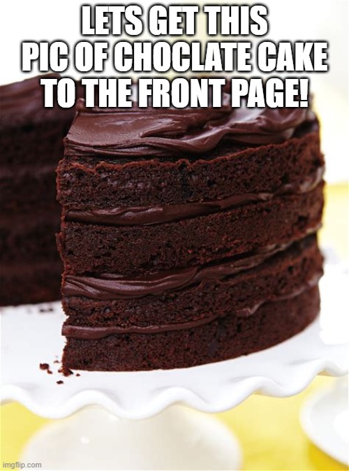 You heard the top text boy's | LETS GET THIS PIC OF CHOCLATE CAKE TO THE FRONT PAGE! | image tagged in goals,my goals are beyond your understanding,fun,achievement | made w/ Imgflip meme maker