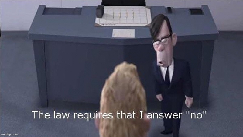 The law requires I answer “no” | image tagged in the law requires i answer no | made w/ Imgflip meme maker