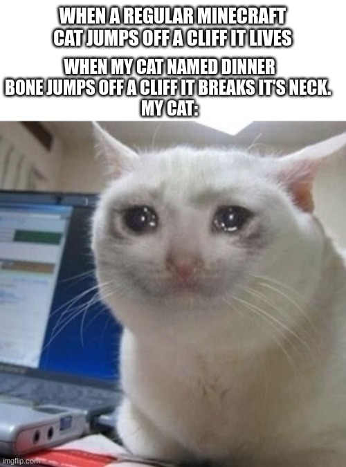 If you don't know about the dinner bone name tag thing you wont understand this meme | WHEN A REGULAR MINECRAFT CAT JUMPS OFF A CLIFF IT LIVES; WHEN MY CAT NAMED DINNER BONE JUMPS OFF A CLIFF IT BREAKS IT'S NECK. 
MY CAT: | image tagged in crying cat | made w/ Imgflip meme maker