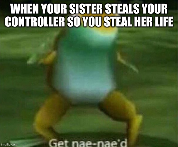 Get nae-nae'd | WHEN YOUR SISTER STEALS YOUR CONTROLLER SO YOU STEAL HER LIFE | image tagged in get nae-nae'd | made w/ Imgflip meme maker