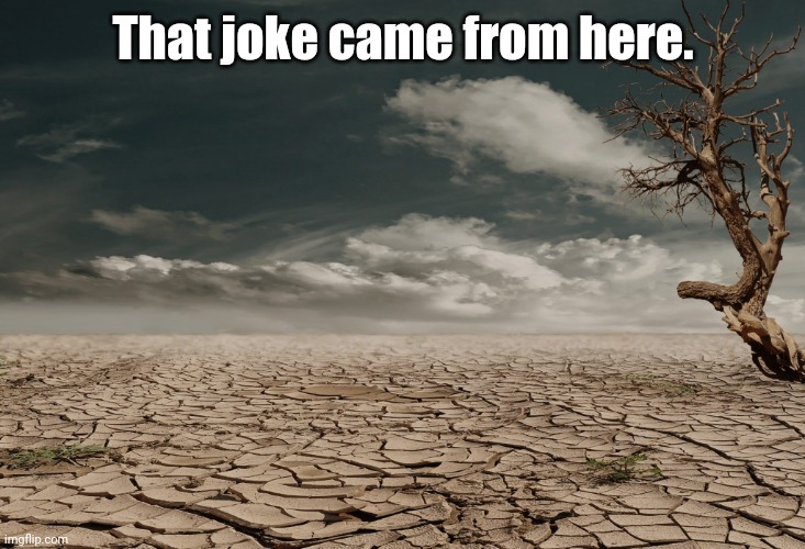 Dry joke, lame joke, 'that joke came from here' - the desert. | That joke came from here. | image tagged in your jokes are so dry,dad joke,lame joke,dry joke | made w/ Imgflip meme maker