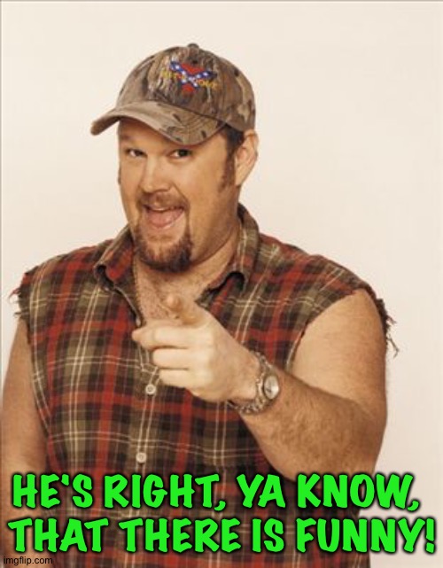 Larry The Cable Guy | HE'S RIGHT, YA KNOW, 
THAT THERE IS FUNNY! | image tagged in larry the cable guy | made w/ Imgflip meme maker