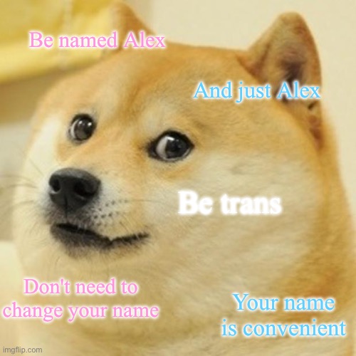 Convenient name | Be named Alex; And just Alex; Be trans; Don't need to change your name; Your name is convenient | image tagged in memes,doge | made w/ Imgflip meme maker