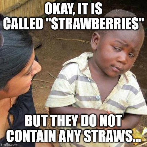 Now that I think about it, it's true. | OKAY, IT IS CALLED "STRAWBERRIES"; BUT THEY DO NOT CONTAIN ANY STRAWS... | image tagged in memes,third world skeptical kid | made w/ Imgflip meme maker