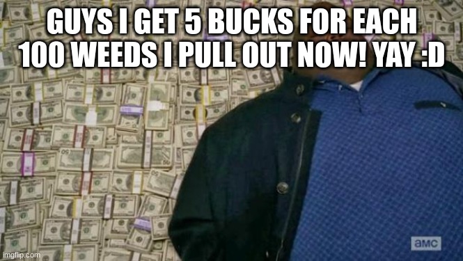 ju ewrgfin8y e54rmcovbrtfvgbs | GUYS I GET 5 BUCKS FOR EACH 100 WEEDS I PULL OUT NOW! YAY :D | image tagged in huell money,h5y4bujiybv',he4y5tf,gvb6y,tdhb,5tvg | made w/ Imgflip meme maker