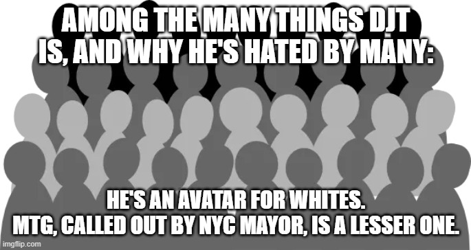AMONG THE MANY THINGS DJT IS, AND WHY HE'S HATED BY MANY:; HE'S AN AVATAR FOR WHITES.
MTG, CALLED OUT BY NYC MAYOR, IS A LESSER ONE. | image tagged in memes | made w/ Imgflip meme maker