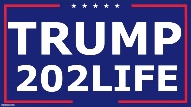 Lock Him Up | TRUMP; 202LIFE | image tagged in blank trump 2020,trump indictment,trump arrest,lock him up | made w/ Imgflip meme maker