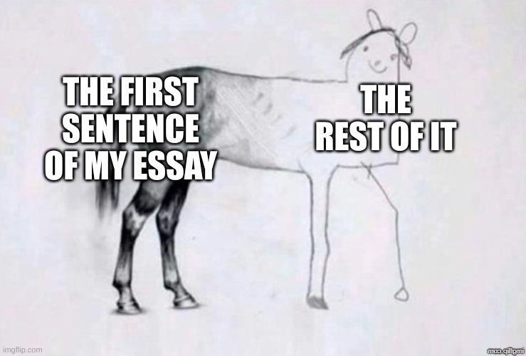 after the first sentence I stop caring | THE FIRST SENTENCE OF MY ESSAY; THE REST OF IT | image tagged in horse drawing | made w/ Imgflip meme maker