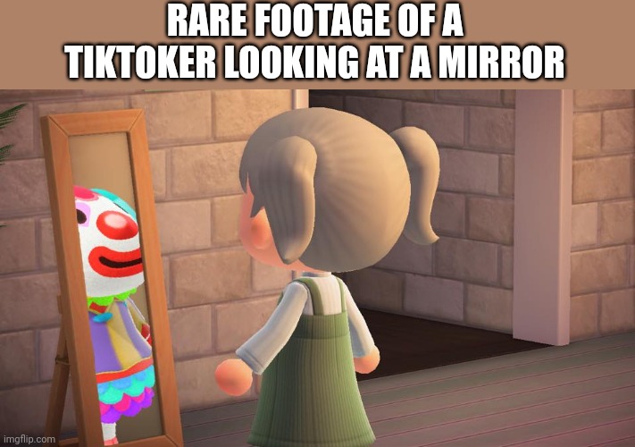 Animal crossing mirror clown | RARE FOOTAGE OF A TIKTOKER LOOKING AT A MIRROR | image tagged in animal crossing mirror clown | made w/ Imgflip meme maker