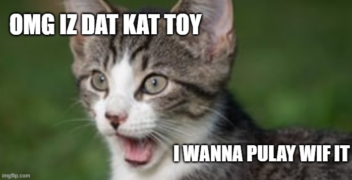 OMG IZ DAT KAT TOY | OMG IZ DAT KAT TOY; I WANNA PULAY WIF IT | image tagged in toy,playing,cat,lolcats | made w/ Imgflip meme maker