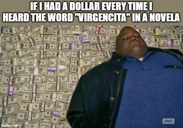 seriously | IF I HAD A DOLLAR EVERY TIME I HEARD THE WORD "VIRGENCITA" IN A NOVELA | image tagged in huell money,memes,funny | made w/ Imgflip meme maker